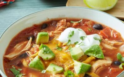 Slow Cooker Chicken Tortilla Soup – by Pioneer Woman