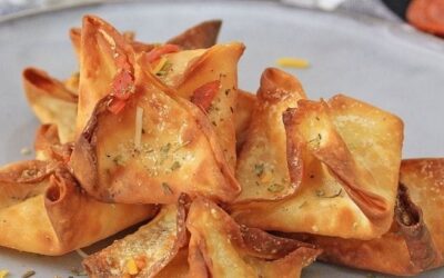 Wonton Pizza Rolls