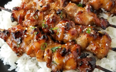 Teriyaki Chicken Skewers